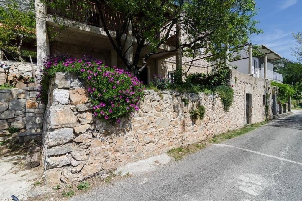 Apartments Felix Babino Polje Exterior photo